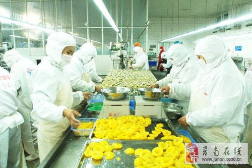 食品廠高效生產(chǎn) 直招車間工人與技術(shù)培訓(xùn)之旅